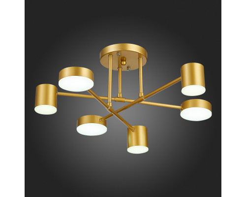 Заказать Люстра на штанге Evoluce SLE201022-06| VIVID-LIGHT.RU