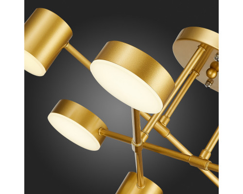 Заказать Люстра на штанге Evoluce SLE201022-06| VIVID-LIGHT.RU