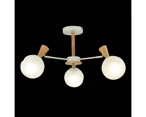 Сделать заказ Люстра на штанге Evoluce SLE220702-03| VIVID-LIGHT.RU