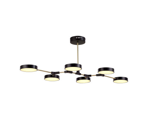 Оформить заказ Люстра на штанге Evoluce SLE6004-402-06| VIVID-LIGHT.RU