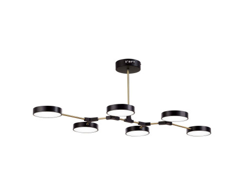 Оформить заказ Люстра на штанге Evoluce SLE6004-402-06| VIVID-LIGHT.RU