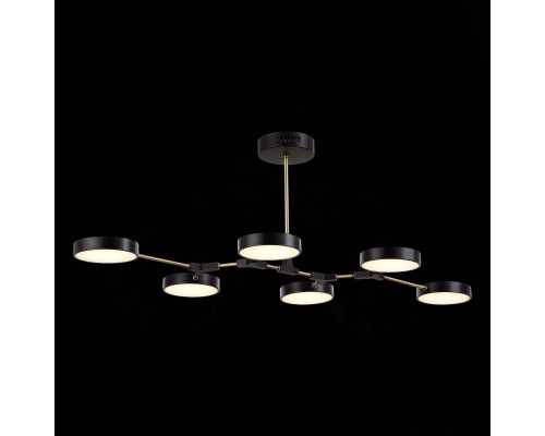 Оформить заказ Люстра на штанге Evoluce SLE6004-402-06| VIVID-LIGHT.RU