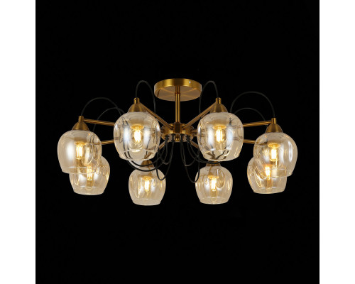 Оформить заказ Люстра на штанге Evoluce SLE110002-08| VIVID-LIGHT.RU