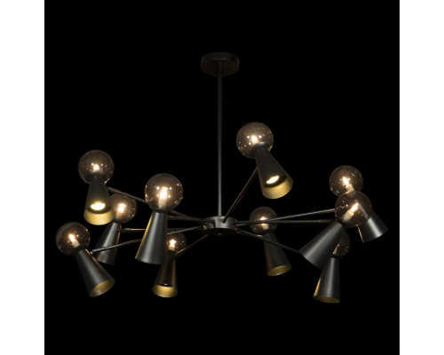 Купить Люстра на штанге LOFT IT 10046/10 Black| VIVID-LIGHT.RU