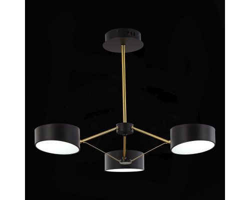 Заказать Люстра на штанге Evoluce SLE6005-402-03| VIVID-LIGHT.RU