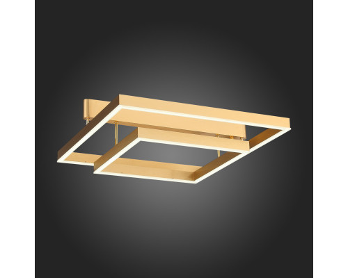 Заказать Накладная люстра ST-Luce SL945.202.02| VIVID-LIGHT.RU