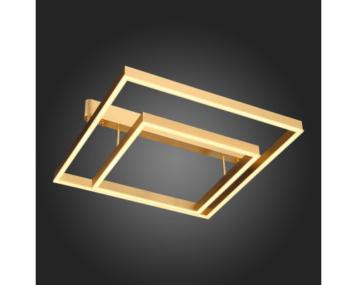 Заказать Накладная люстра ST-Luce SL945.202.02| VIVID-LIGHT.RU