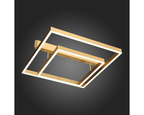 Заказать Накладная люстра ST-Luce SL945.202.02| VIVID-LIGHT.RU