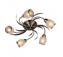 Накладная люстра OML-35827-05 Omnilux