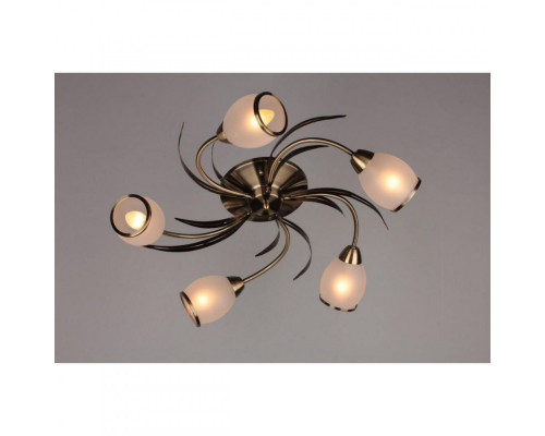 Оформить заказ Накладная люстра OML-35827-05 Omnilux| VIVID-LIGHT.RU