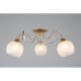 Сделать заказ Накладная люстра Omnilux OML-24907-03| VIVID-LIGHT.RU
