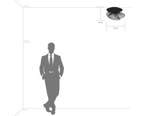 Сделать заказ Накладная люстра Lightstar 728133| VIVID-LIGHT.RU