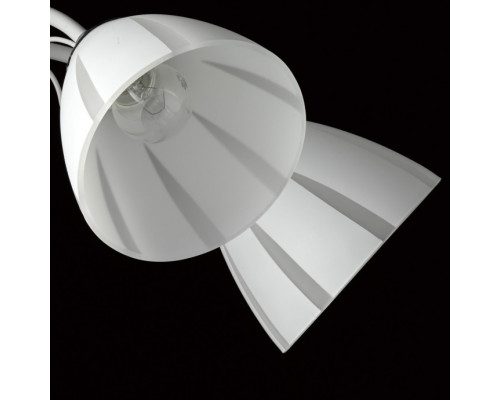 Оформить заказ Накладная люстра DeMarkt 676014505| VIVID-LIGHT.RU