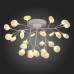 Купить Накладная люстра Evoluce SLE250102-27| VIVID-LIGHT.RU