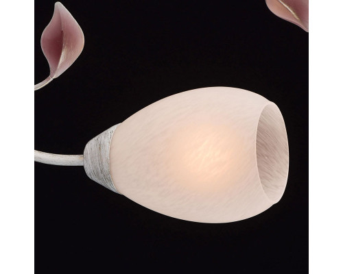 Оформить заказ Накладная люстра MW-Light 242016508| VIVID-LIGHT.RU