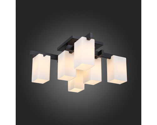 Заказать Накладная люстра ST-Luce SL541.402.06| VIVID-LIGHT.RU