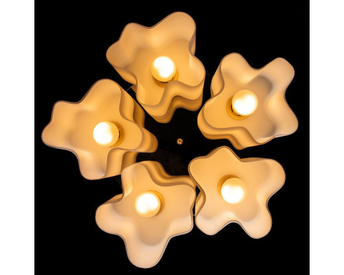 Купить Накладная люстра ARTE Lamp A3479PL-5CC| VIVID-LIGHT.RU