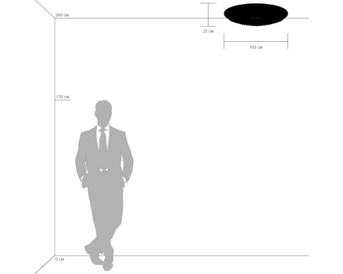 Сделать заказ Накладная люстра Lightstar 704214| VIVID-LIGHT.RU