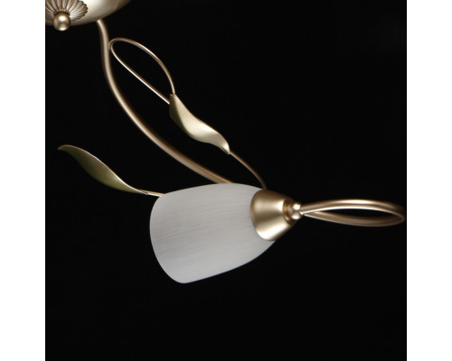 Купить Накладная люстра MW-Light 334013006| VIVID-LIGHT.RU