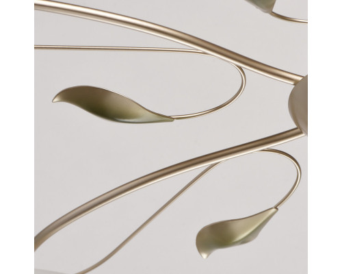 Купить Накладная люстра MW-Light 334013006| VIVID-LIGHT.RU