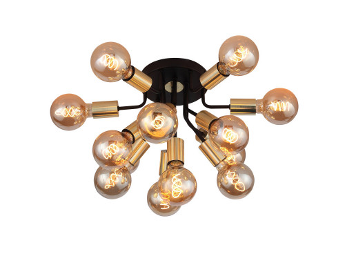 Заказать Накладная люстра ST-Luce SL437.402.13| VIVID-LIGHT.RU