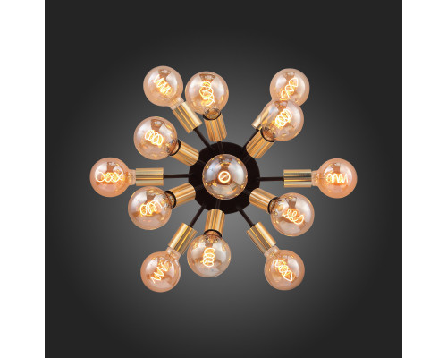 Заказать Накладная люстра ST-Luce SL437.402.13| VIVID-LIGHT.RU