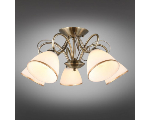 Сделать заказ Накладная люстра Omnilux OML-25307-05| VIVID-LIGHT.RU