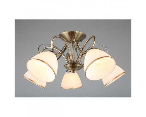 Сделать заказ Накладная люстра Omnilux OML-25307-05| VIVID-LIGHT.RU