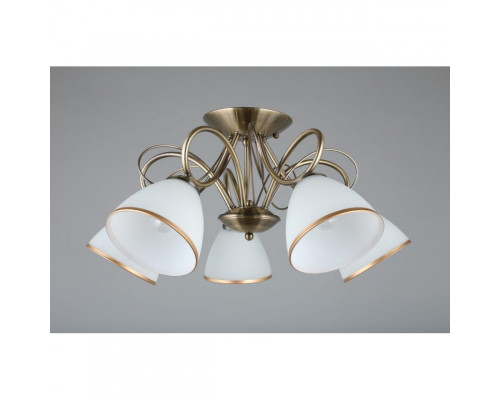 Сделать заказ Накладная люстра Omnilux OML-25307-05| VIVID-LIGHT.RU