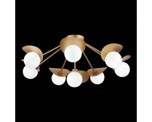 Купить Накладная люстра Evoluce SLE220502-08| VIVID-LIGHT.RU