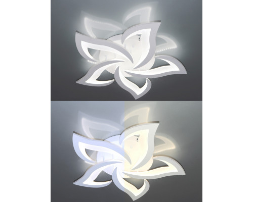 Купить Накладная люстра Natali Kovaltseva LED LAMPS 81212| VIVID-LIGHT.RU