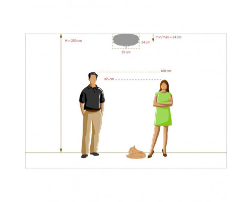 Сделать заказ Накладная люстра DeMarkt 366012806| VIVID-LIGHT.RU