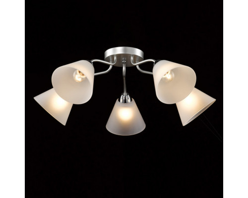 Сделать заказ Накладная люстра DeMarkt 676015205| VIVID-LIGHT.RU