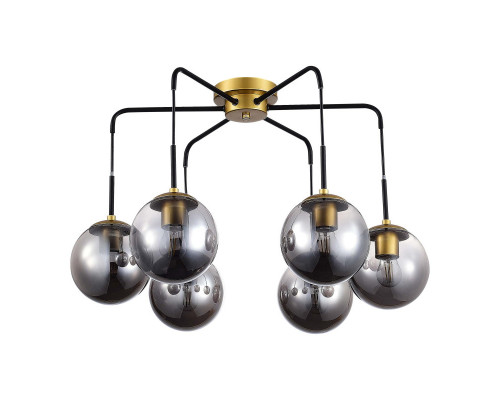 Сделать заказ Накладная люстра Evoluce SLE1097-302-06| VIVID-LIGHT.RU