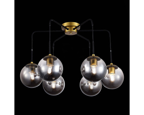 Сделать заказ Накладная люстра Evoluce SLE1097-302-06| VIVID-LIGHT.RU