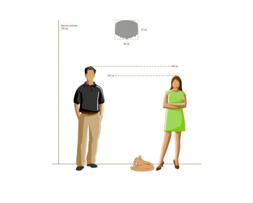 Оформить заказ Накладная люстра MW-Light 465011305| VIVID-LIGHT.RU