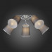 Купить Накладная люстра Evoluce SLE103002-05| VIVID-LIGHT.RU