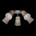 Купить Накладная люстра Evoluce SLE103002-05| VIVID-LIGHT.RU