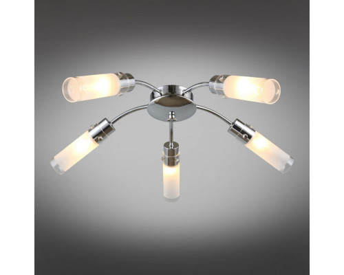 Заказать Накладная люстра Omnilux OML-28707-05| VIVID-LIGHT.RU