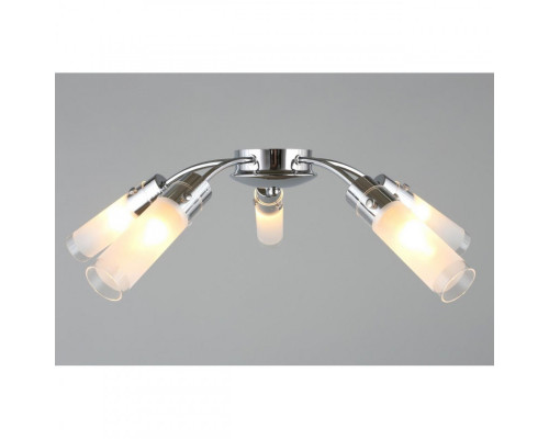 Заказать Накладная люстра Omnilux OML-28707-05| VIVID-LIGHT.RU