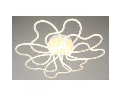 Оформить заказ Накладная люстра Omnilux OML-04307-160| VIVID-LIGHT.RU