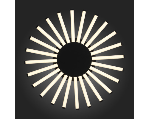 Заказать Накладная люстра ST-Luce SL839.412.24| VIVID-LIGHT.RU