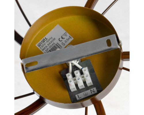 Оформить заказ Накладная люстра Lussole LSP-0045| VIVID-LIGHT.RU