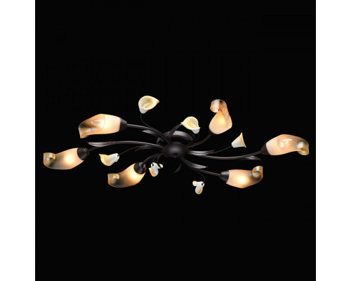 Сделать заказ Накладная люстра MW-Light 242017006| VIVID-LIGHT.RU