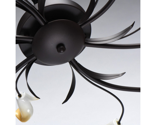 Сделать заказ Накладная люстра MW-Light 242017006| VIVID-LIGHT.RU