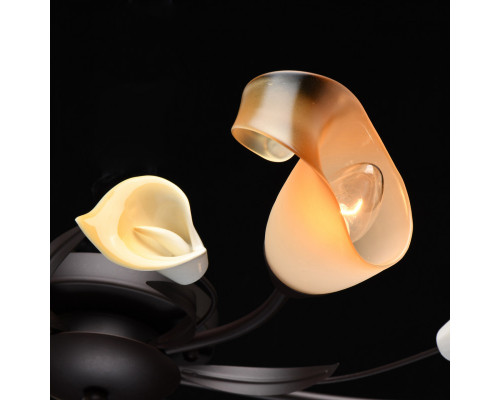 Сделать заказ Накладная люстра MW-Light 242017006| VIVID-LIGHT.RU