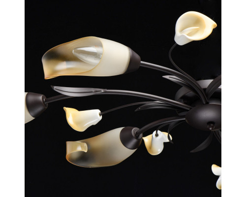 Сделать заказ Накладная люстра MW-Light 242017006| VIVID-LIGHT.RU