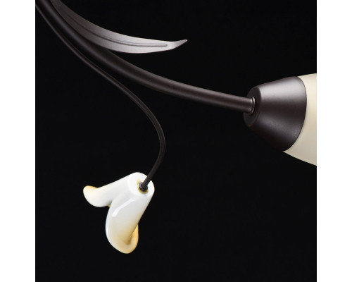 Сделать заказ Накладная люстра MW-Light 242017006| VIVID-LIGHT.RU