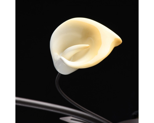 Сделать заказ Накладная люстра MW-Light 242017006| VIVID-LIGHT.RU