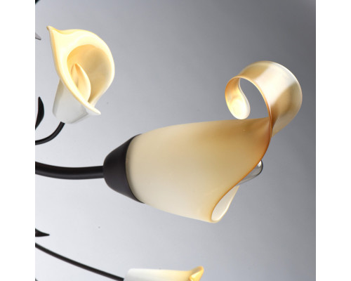 Сделать заказ Накладная люстра MW-Light 242017006| VIVID-LIGHT.RU